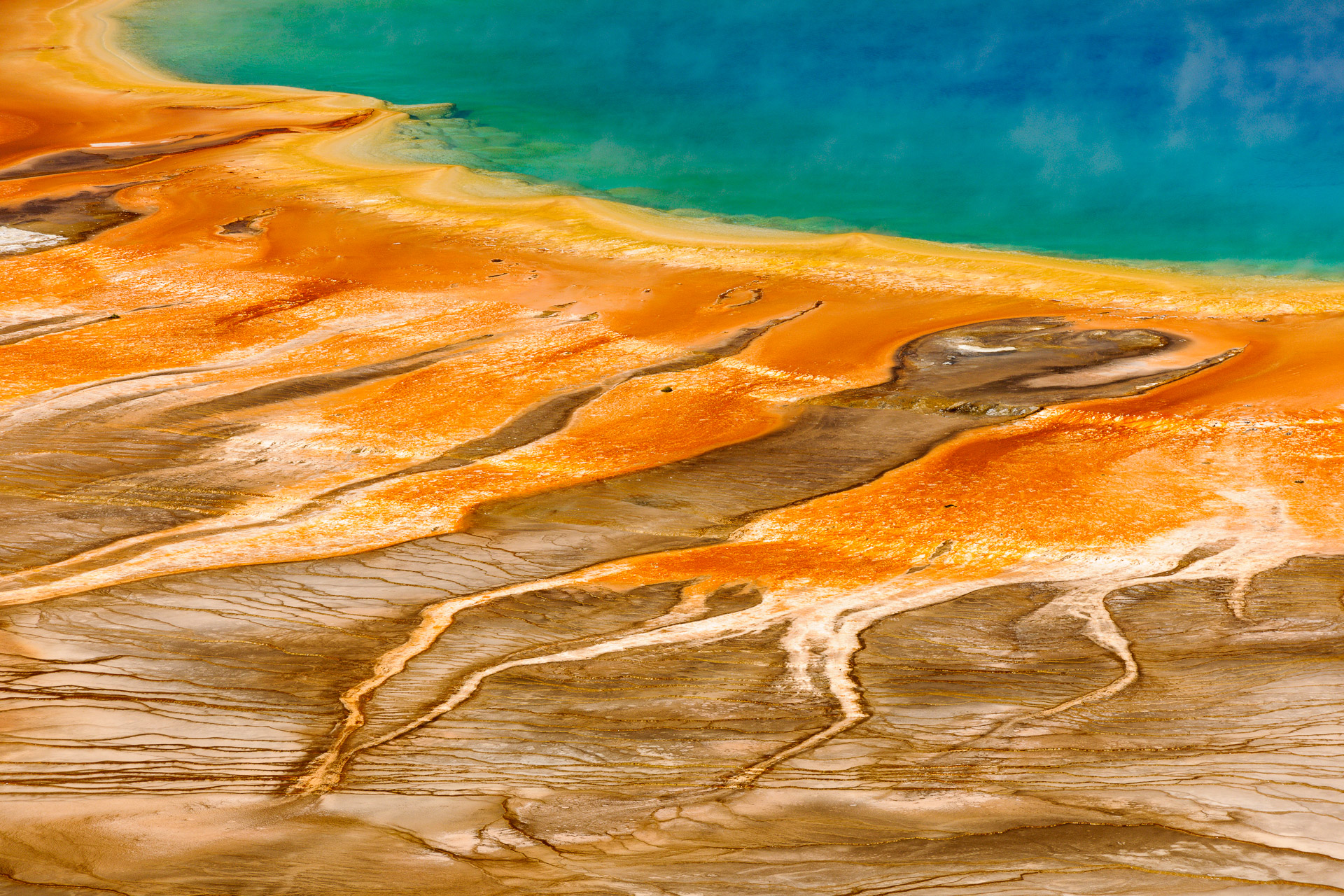 Beeindruckende Landschaften bei Naturfotos-digital.de. Hier ein Naturbild der Grand Prismatic Spring im Yellowstone Nationalpark in den USA.Kamera: NIKON D3X Brennweite: 200mm 1/250 s bei Blende f/9.0