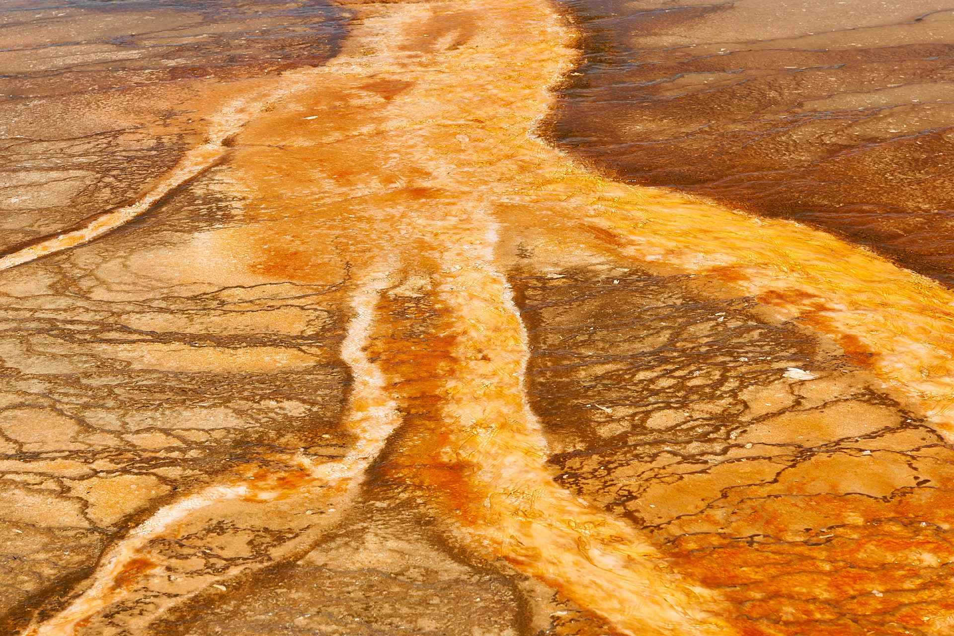 Im ablaufenden Wasser der Grand Prismatic Spring im Yellowstone Nationalpark gedeihen Algen und Bakterien, die den Untergrund in orangenen und braunen Farbtönen einfärben.Kamera: NIKON D3X Brennweite: 56mm 1/100 s bei Blende f/11.0