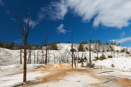 Dieses Naturbild zeigt die Angel Terrase des Mammoth Hot Springs im Yellowstone Nationalpark.<br />Kamera: NIKON D3X <br />Brennweite: 38mm <br />1/200 s bei Blende f/11.0